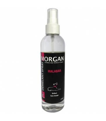 Spray démêlant senteur Malabar Morgan