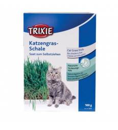 Graines pour herbes à chats