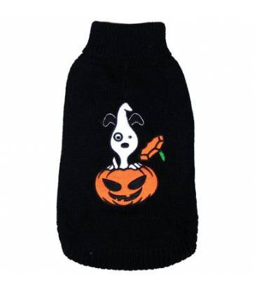 Pull Halloween pour chien