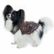 Doudoune Fun Fashion pour chien