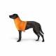 Protection de cou orange pour chien ou chat