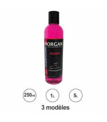 Shampoing protéiné senteur Malabar Morgan