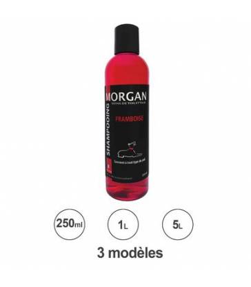 Shampoing protéiné Framboise Morgan