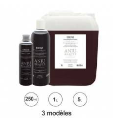 Shampooing Ebène Anju Beauté