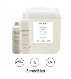 Shampooing Anju Beauté Vital Force Keratine