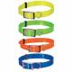 Collier fluo plein-air Doogy Classic