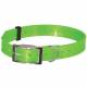 Collier fluo plein-air Doogy Classic