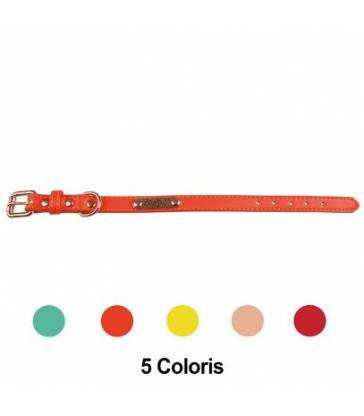 Collier chien Simili Summer Doogy Glam