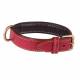 Collier pour chien confort