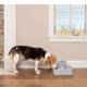 Fontaine Drinkwell Petsafe pour chat ou chien