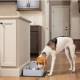 Fontaine Drinkwell Petsafe pour chat ou chien