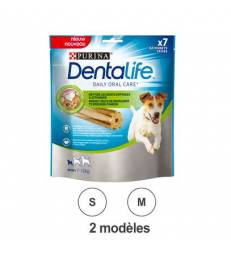 Dentalife