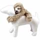 Peluche paresseux pour chien