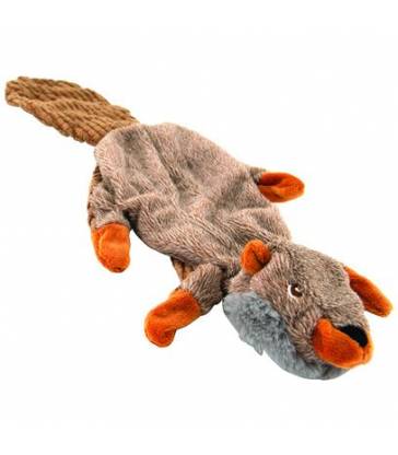 Castor plat peluche chien