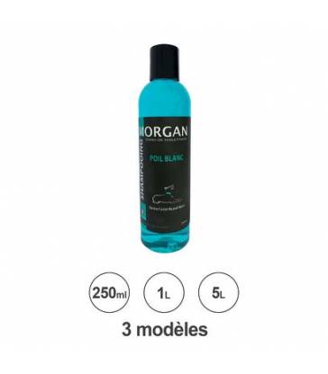 Shampoing poil blanc Morgan