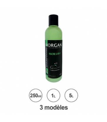 Shampooing protéiné nacre 2 en 1 MORGAN