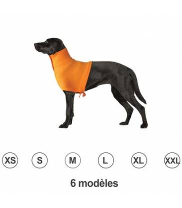 Protection de cou orange pour chien ou chat