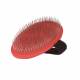 Brosse ovale terrier