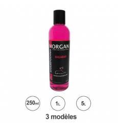 Shampoing protéiné senteur Malabar Morgan