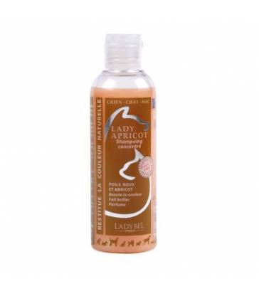 Shampooing Lady Apricot par LadyBel : 200mL