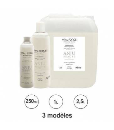 Shampooing Anju Beauté Vital Force Keratine