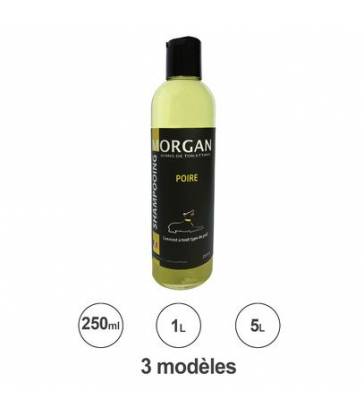 Shampoing protéiné Poire Morgan