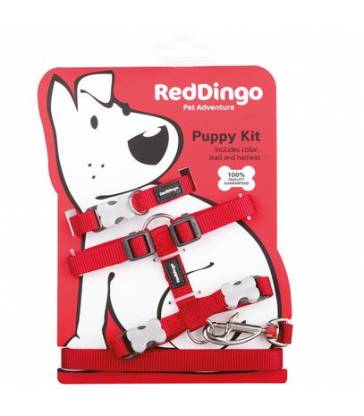 Pack Chiot Red Dingo rouge