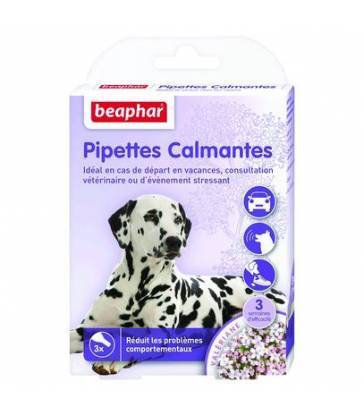 Pipettes calmantes pour chien