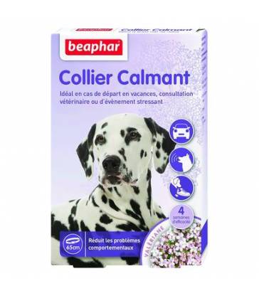 Colliers calmants pour chien