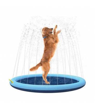 Piscine à jet pour chiens