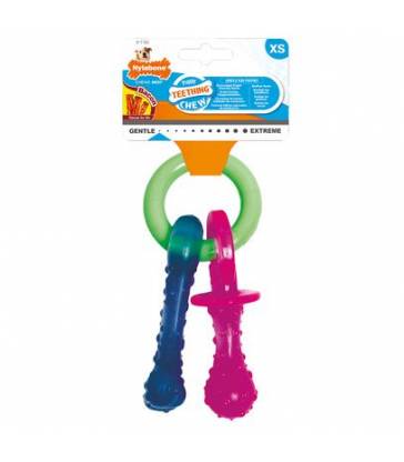 Puppy tetine pacifier Nylabone