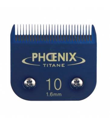 Tête de coupe N°10 Phoenix Céramique