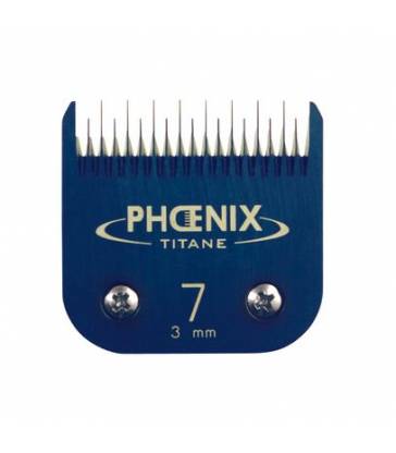 Tête de coupe N°7 Phoenix Céramique