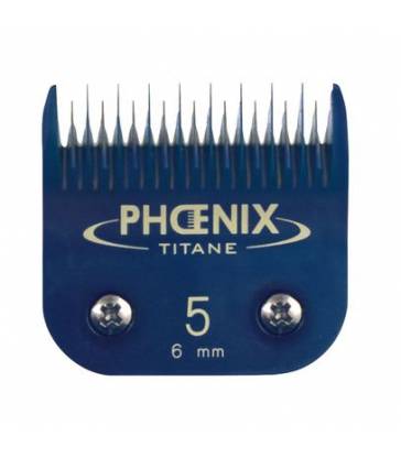 Tête de coupe N°5 Phoenix Céramique