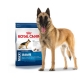 Royal Canin Maxi Adulte