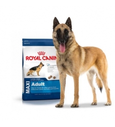 Royal Canin Maxi Adulte