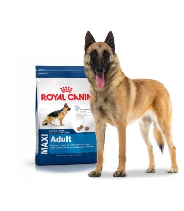 Royal Canin Maxi Adulte