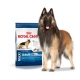 Royal Canin Maxi Mature