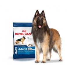 Royal Canin Maxi Mature