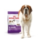 Royal Canin Giant Adulte