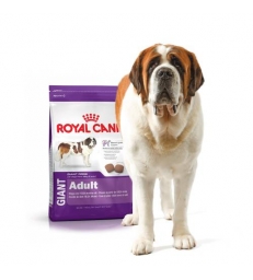 Royal Canin Giant Adulte