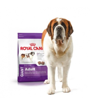 Royal Canin Giant Adulte