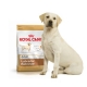 Royal Canin Labrador Retriever Adulte