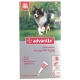 Pipettes Advantix Chiens Moyens