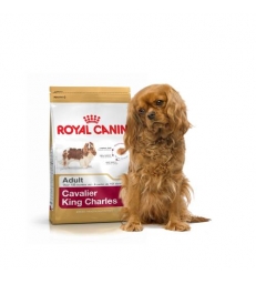 Royal Canin Cavalier King Charles