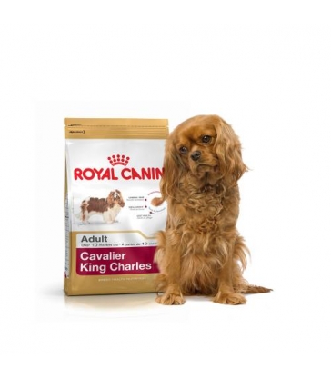 Royal Canin Cavalier King Charles