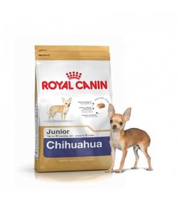 Royal Canin Chihuahua Junior