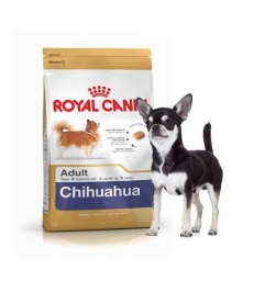 Royal Canin Chihuahua Adulte