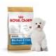 Royal Canin Bichon Frisé