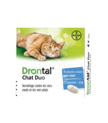 Drontal Chat Duo